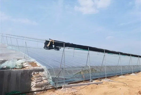 溫室大棚如何覆膜？